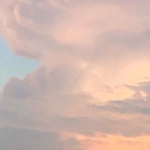 Meet your Posher, Emmi